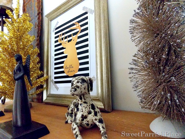 [dalmation%255B3%255D.jpg]