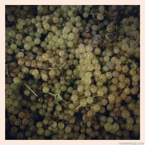 [image%255B2%255D.png]