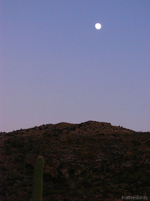 9. Moonrise-kab