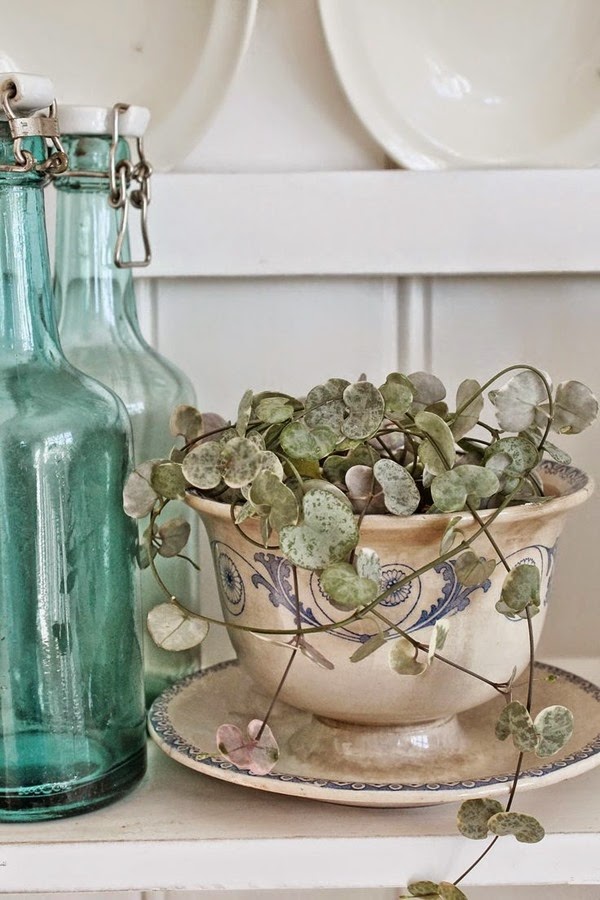 [2e353a7847c392cbdaf6cd5603d4ce391.jpg]