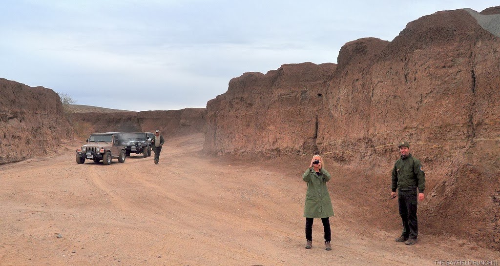 [DSC_0040%255B5%255D.jpg]