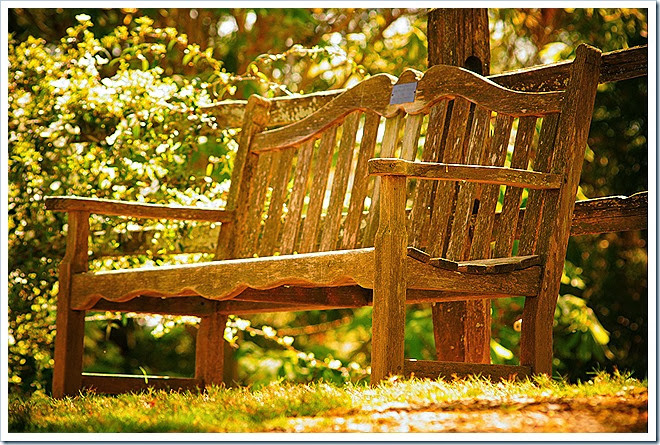 benches-public-domain-pictures-1 (406)