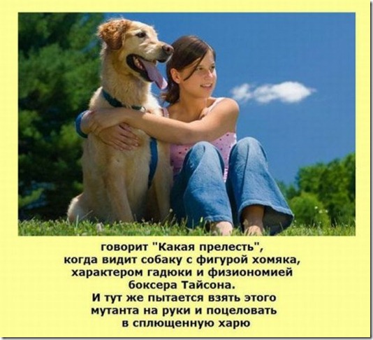 clip_image017 clip_image017