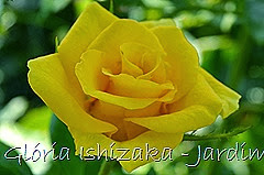 26  - Glória Ishizaka - Rosas do Jardim Botânico Nagai - Osaka