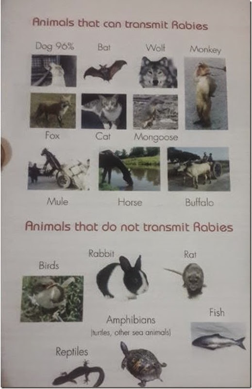 animals that cause rabies and animals that don't cause rabies