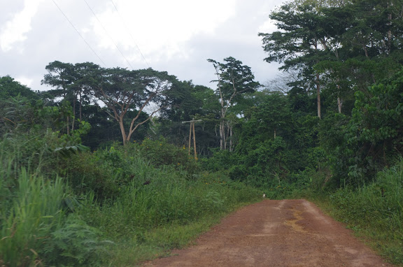 Ebogo (Cameroun), 9 avril 2012. Photo : J.-M. Gayman