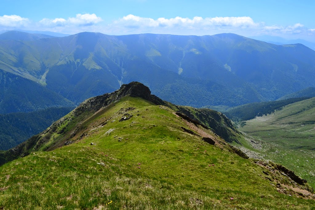 [DSC_91003.jpg]