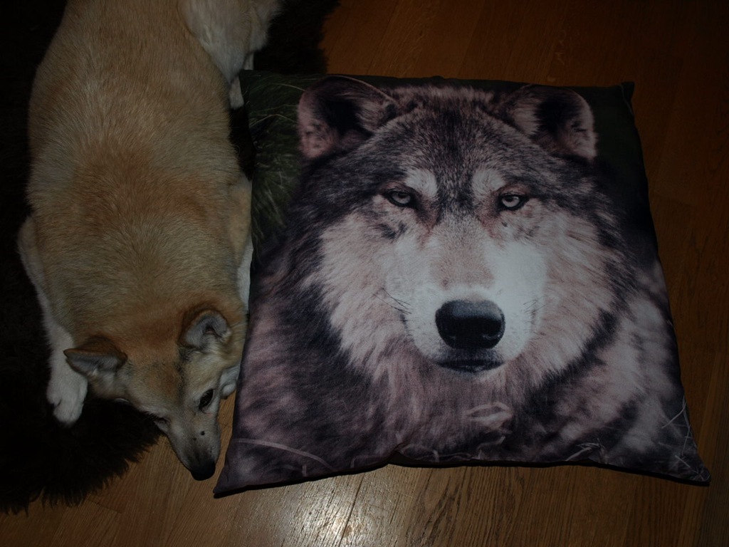 [011%255B5%255D.jpg]