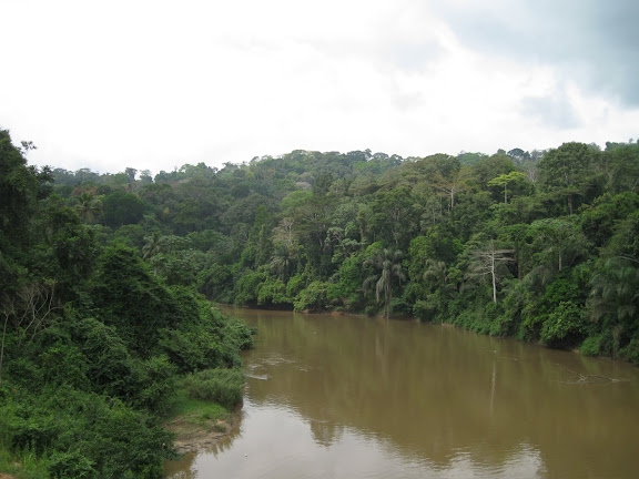 Vers Ankasa : La Tanoé à Fawmang. Ghana, 22 décembre 2009. Photo : Henrik Bloch