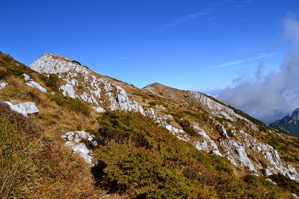 [DSC_59543.jpg]
