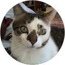 Image Google de Carole Faussabry