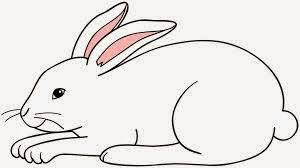 Tupai Dan Kelinci Pemalas | Kumpulan Cerita Dan Dongeng Anak