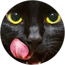 Image Google de So La bête noire