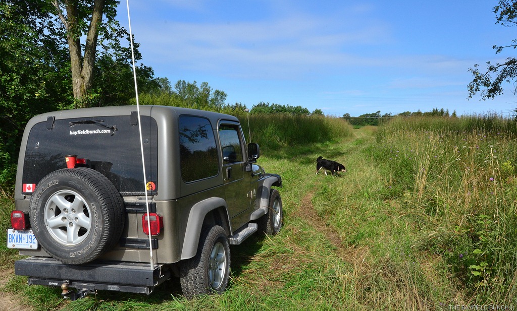 [DSC_0008%255B3%255D.jpg]