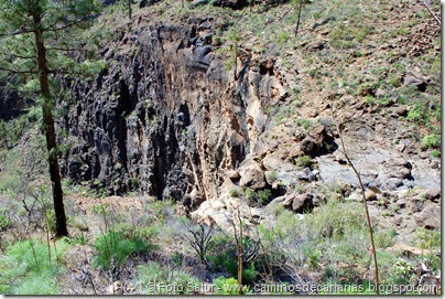7398 Tauro-Cortadores(Caidero Colorado) 7398 Tauro-Cortadores(Caidero Colorado)
