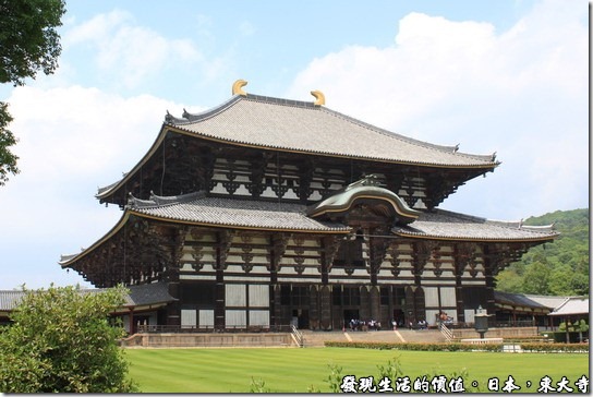 拜訪日本巨大武士頭盔－奈良，東大寺