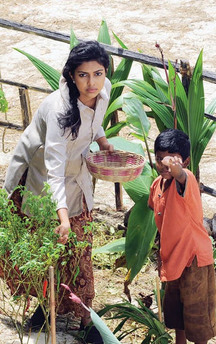 [amala_paul2%255B3%255D.jpg]