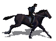 kyle-nosferatu-horse