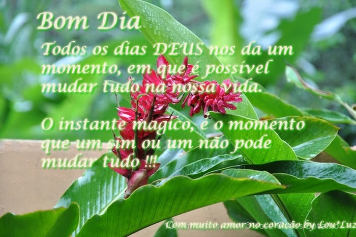 Bom+Dia+15.jpg