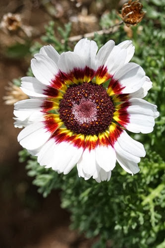 20100301 (1) (Large)