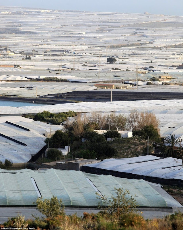 greenhouses-almeria-8