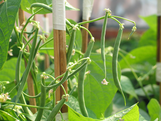 [image%255B7%255D.png]