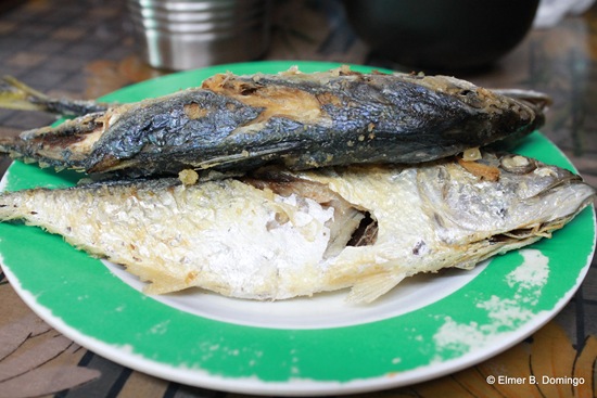 pritong isda