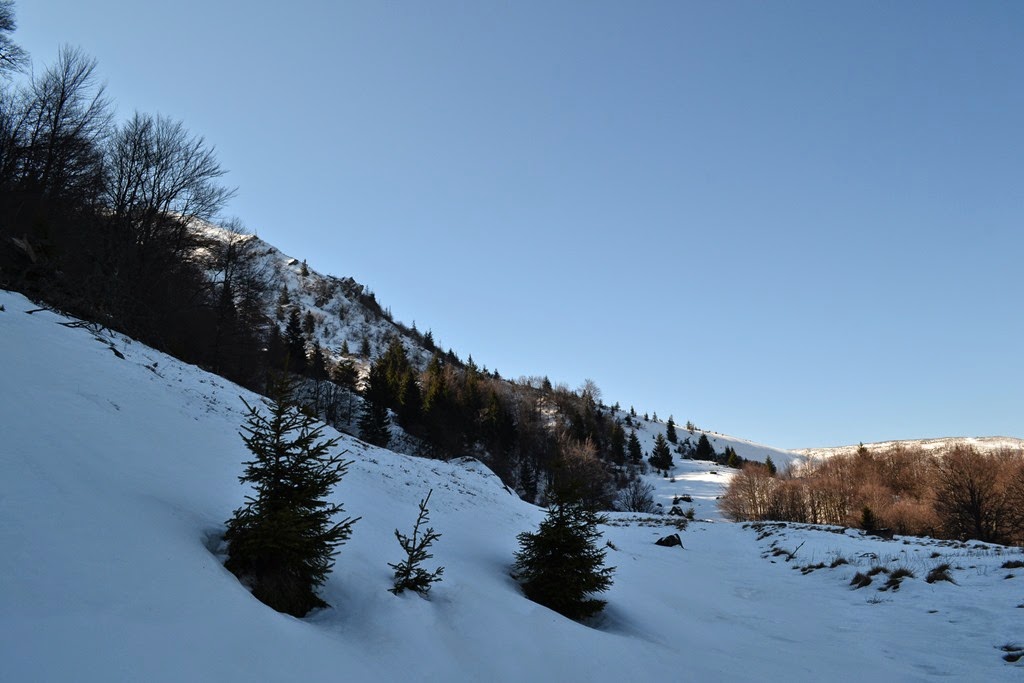 [DSC_56243.jpg]