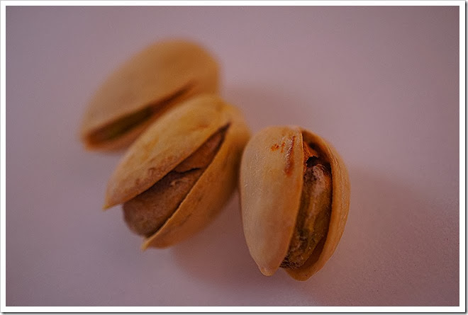 pistachios-free-pictures-1 (1378)