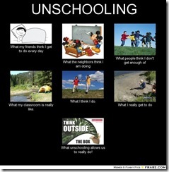 frabz-UNSCHOOLING-What-my-friends-think-I-get-to-do-every-day-What-the-062cc1