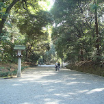 meiji park pathways in Yoyogi, Japan 