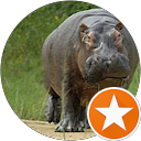 Image Google de hyppo