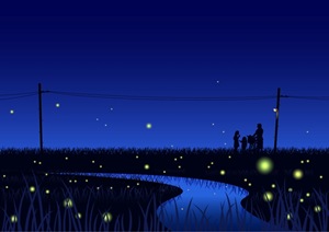 Fireflies12