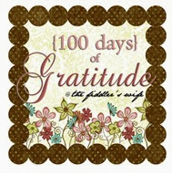 100 days of gratitude tag[7]