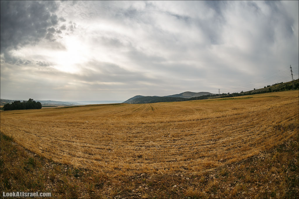 LookAtIsrael.com: Фото-блог о путешествиях по Израилю. Тель Авив, Иерусалим, Хайфа 