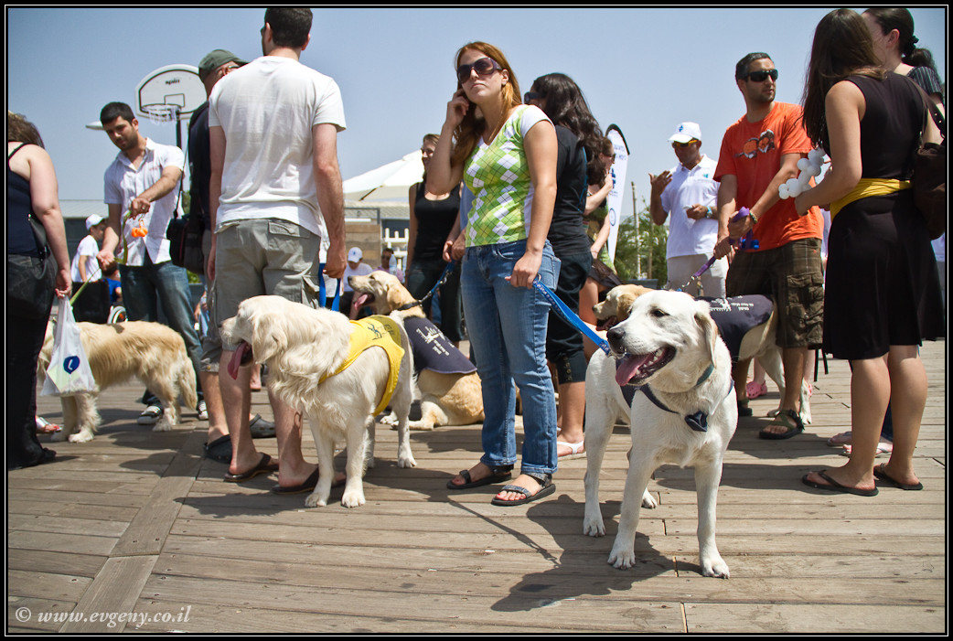 LookAtIsrael.com: Дома изнутри: ...и еще вопрос кто из нас неполноценен... (foto israel фото тель авив порт дома изнутри )