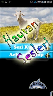 Download Hayvan Sesleri ve Resimler APK for Android