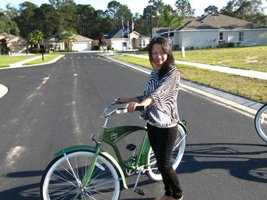 Tampa beach cruiser bicycle