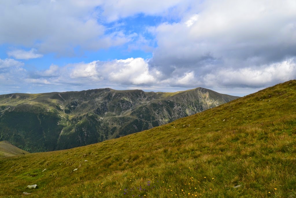 [DSC_48833.jpg]
