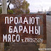 Смешные Картинки Про Продажи