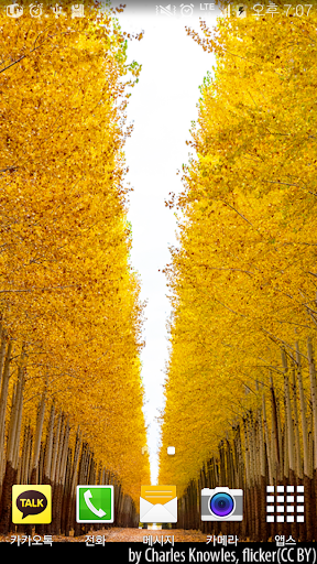 Yellow trees Livewallpaper