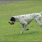 schön Aufräumen ...