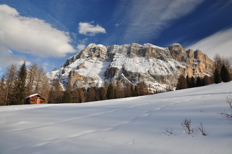 DSC_8142.JPG DSC 8142