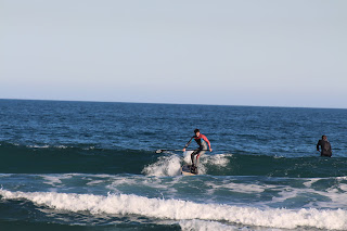 IMG_4261.JPG