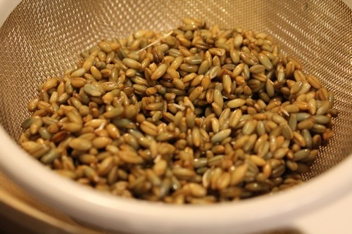 sprouted-rye-spelt-bread_01