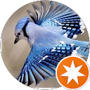 Image Google de Babette R