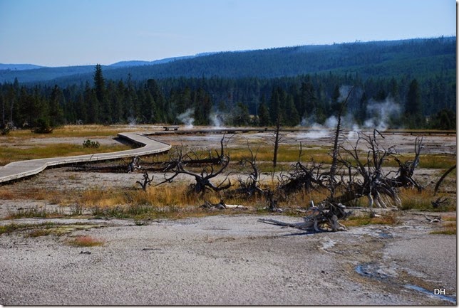 08-11-14 A Yellowstone National Park (192)