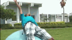 af.gif