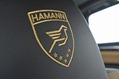 Hamann-Guardian-Evo-30