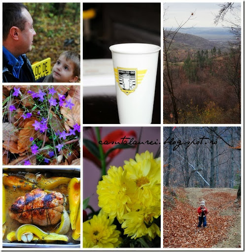 PicMonkey CollagePicMonkey Collage